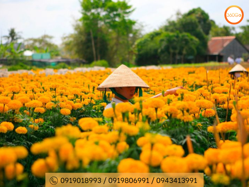 Thời điểm tháng 12 âm lịch chính là thời điểm Làng hoa đẹp nhất - Du lịch 360Go